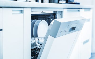 The Lasting Legacy of Maytag in Chattanooga: Pioneering Innovation and Exceptional Durability