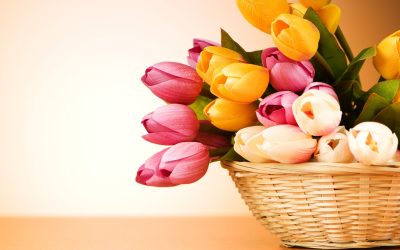 Creative Ideas for Event Floral Design in Pittsburgh, PA to Impress Your Guests